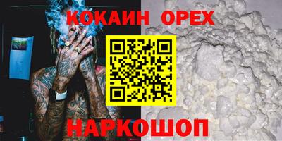 молекула духа Будённовск