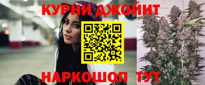 молекула духа Будённовск